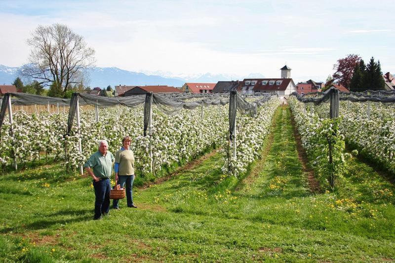 Ferienhof Schoengarten Lindau  Exterior foto